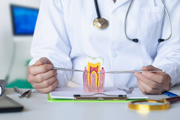 Best Same-Day Emergency Dental Services in Eerlin, ND